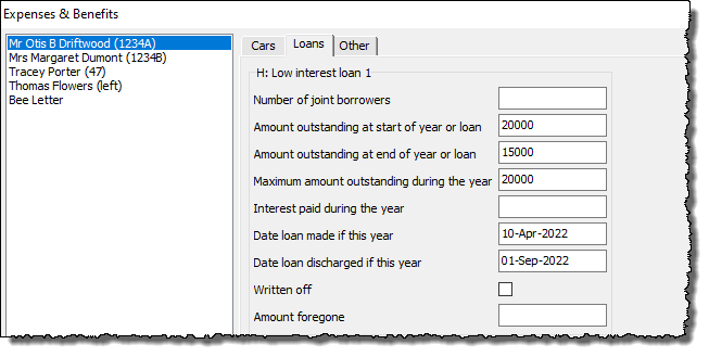 input loan details