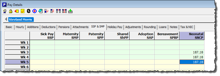 sncp amounts